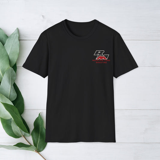Kelli's Shirt
