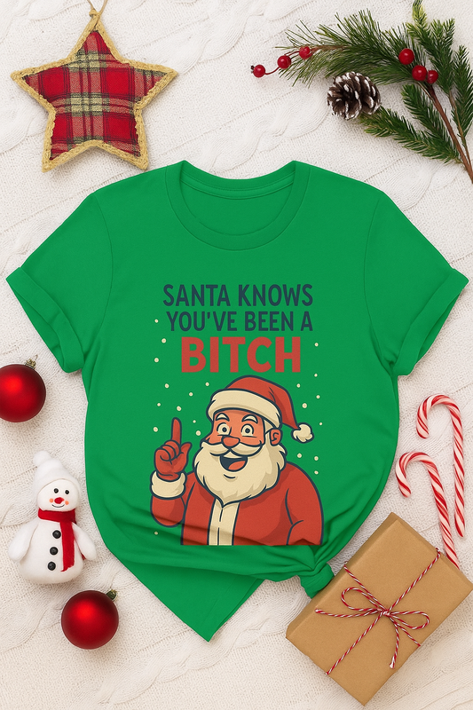 Funny Christmas Tee — "Santa Knows You've Been a Bitch" Graphic T-Shirt